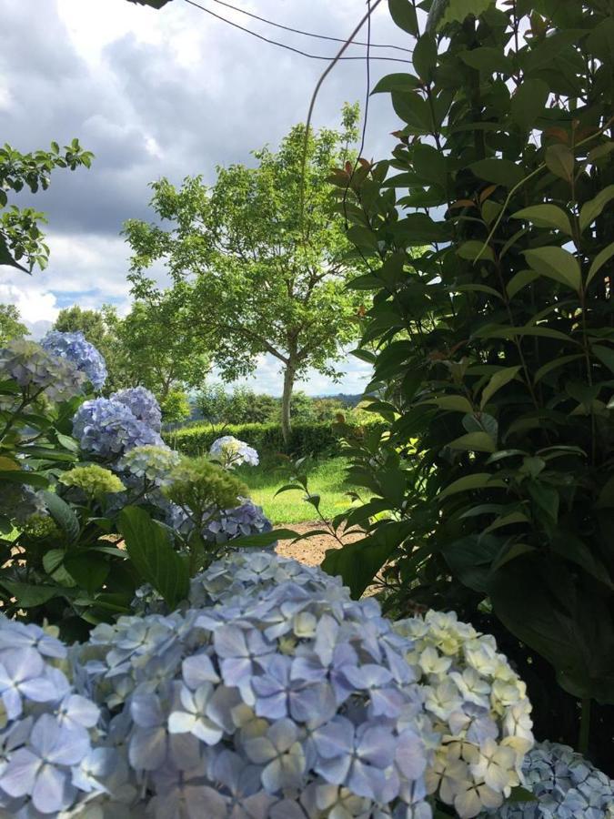 Appartamento O Pazo da Briona Arzúa Esterno foto